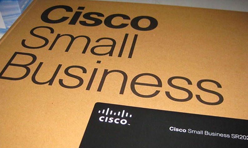 Cisco Systems Small Business Box